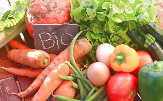 Fundación España Activa 'reta' a más de 400 centros educativos de Castilla y León a luchar contra el sedentarismo de los escolares