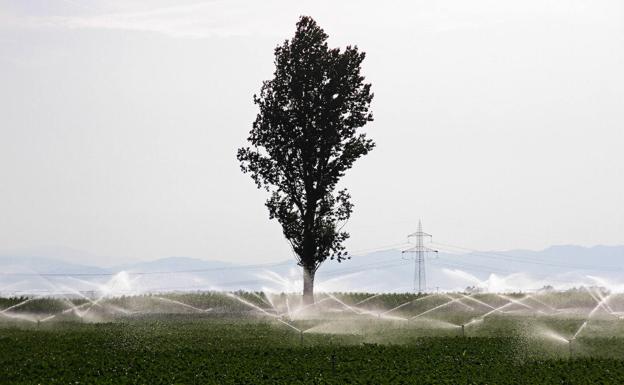 Principio de acuerdo sobre la nueva PAC con un 20% de las ayudas vinculadas a los ecoesquemas y un 25% desde 2025