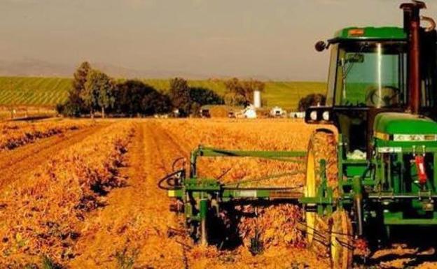 COAG celebra el acuerdo sobre la nueva PAC, aunque cree que exige un esfuerzo de adaptación