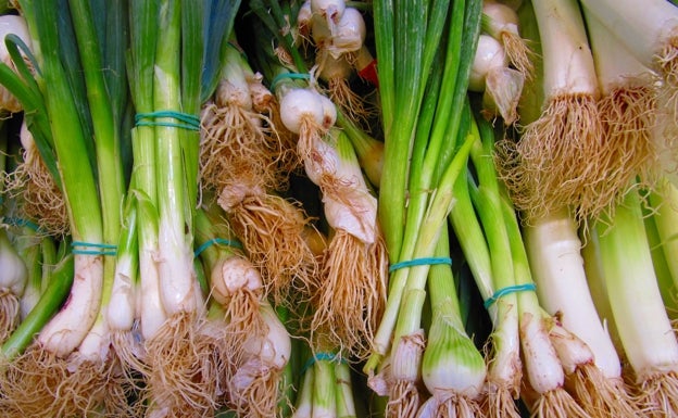 El consumidor paga ocho veces más por un kilo de puerros de lo que cobra un productor