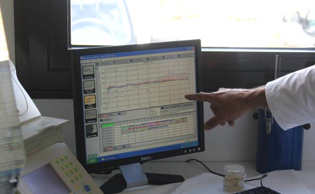 Menor carga vírica y poca capacidad de transmisión: el nuevo perfil de los positivos en PCR