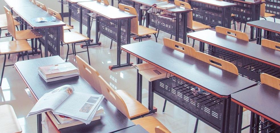 El PSOE pide a la Junta que actualice la convocatoria de libros de texto Releo Plus para adaptarlo a la pandemia - Vimarsana News