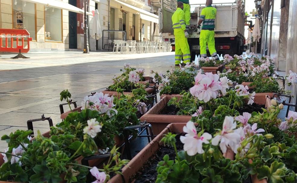 Las flores vuelven a vestir la calle Ancha