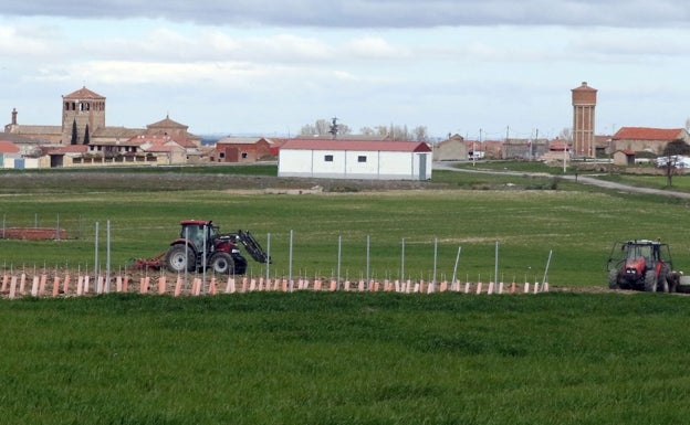 Publicadas las bases de CULTIVA, el programa dirigido a jóvenes agricultores