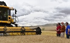 La cosecha de cereal se queda 1,4 millones de toneladas por debajo de la de 2020