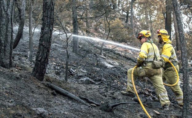 La Junta aprueba 1,2 millones para la restauración de terrenos afectados por dos incendios en la provincia de León