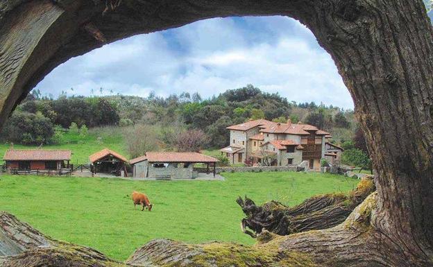 Villarroel lamenta que la Diputación rechace su propuesta de Erasmus rural que pondrá en marcha el Gobierno