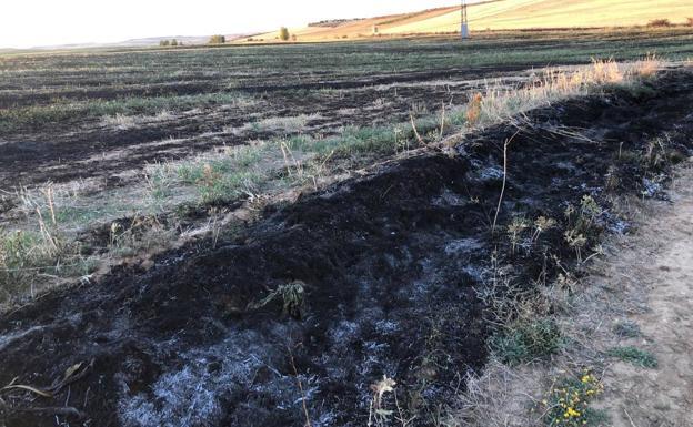 El incendio de Codornillos arrasa cuatro hectáreas de pasto en la provincia de León