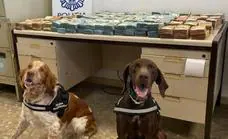 Dos perros policía detectan un millón de euros en un maletero