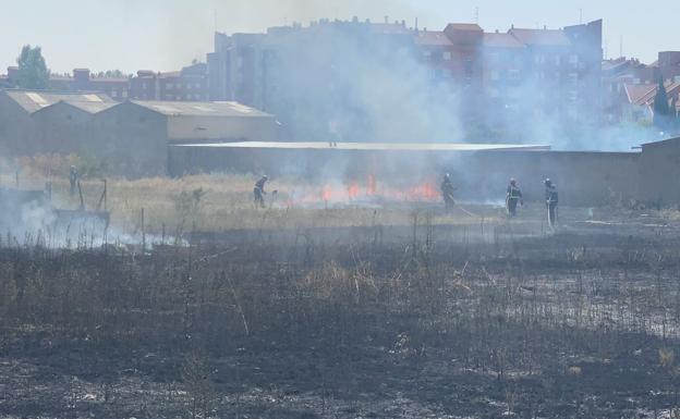 Bomberos de León sofocan un incendio en la explanada de Trobajo tras la oficina de Correos