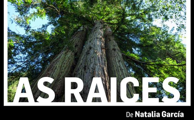 La obra audiovisual «As raíces» se instala en Museo de la Energía