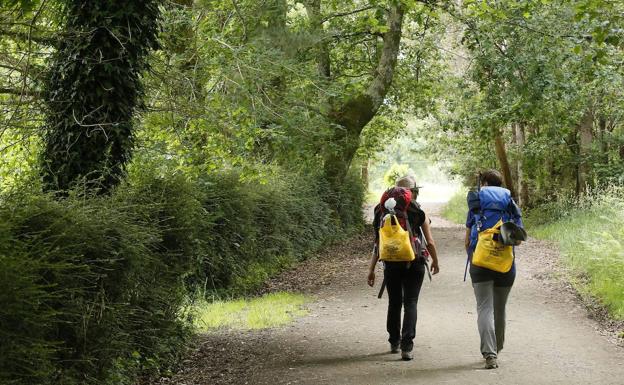 'Que el camino deje huella en ti. No tú en él' busca concienciar a los peregrinos de la importancia de evitar la basuraleza en el Camino