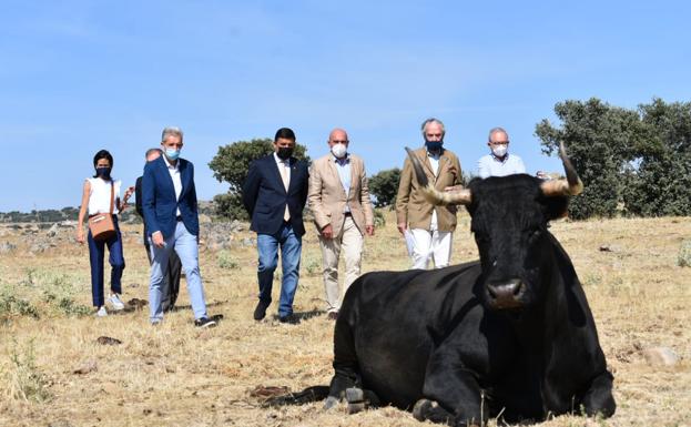 La IGP Carne de Ávila ampara 227 ganaderías y 65 explotaciones de cebo