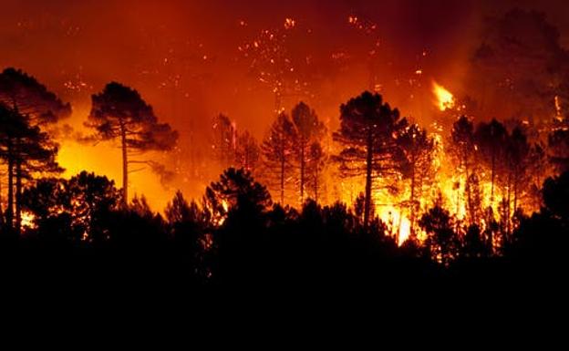 ¿Por qué ahora hay más incendios y son más peligrosos?