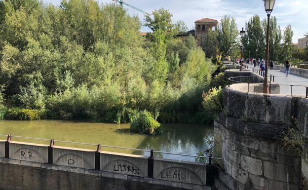 Cs muestra su satisfacción por la aprobación de su petición de firmar un convenio con la CHD para limpiar los cauces