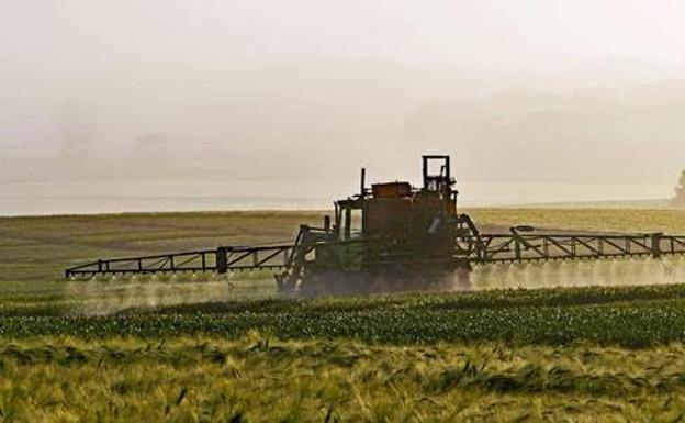 Descubren 24 nuevas sustancias dañinas para el medio ambiente derivadas de pesticidas