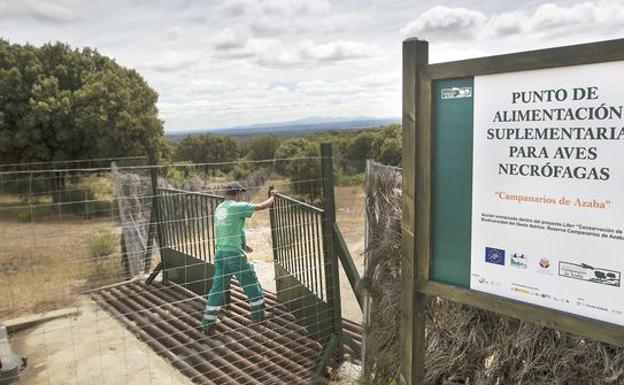 Castilla y León es la comunidad con mayor número de muladares del país