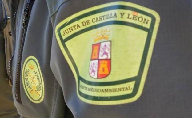 Sofocan cuatro incendios intencionados en la últimas horas en El Bierzo