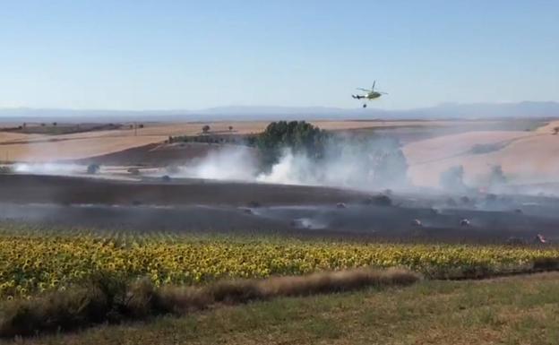 Medios aéreos y terrestres trabajan en un incendio activo e intencionado en Valdesaz de los Oteros