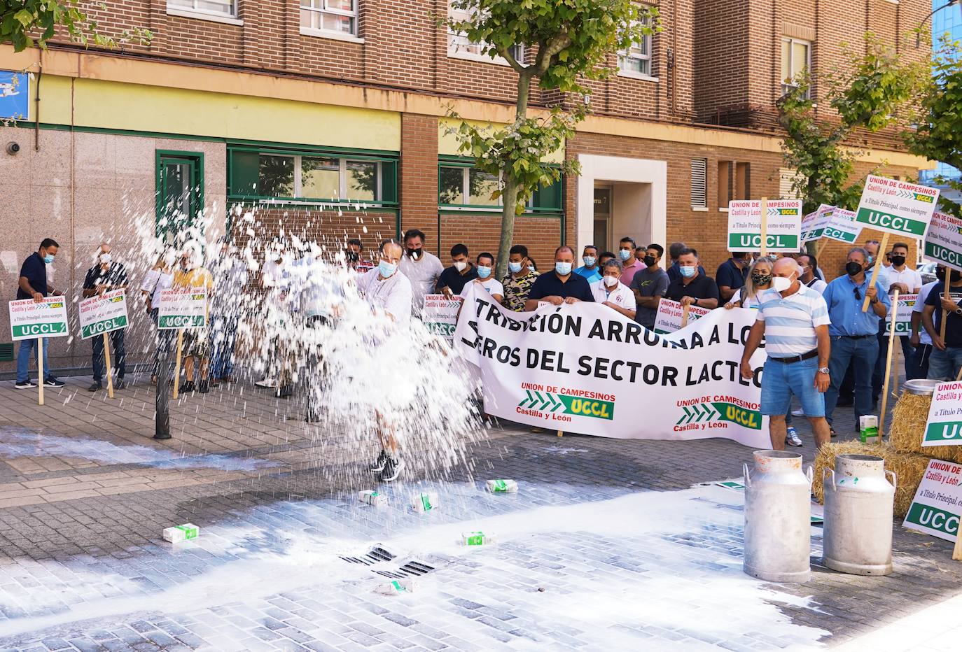 Los ganaderos de leche de vacuno protestan por la crisis de precios