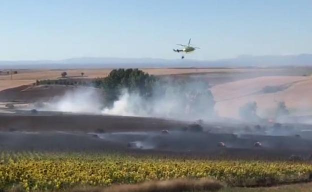 Extinguido el incendio de Valdesaz de los Oteros tras calcinar más de seis hectáreas de cereal