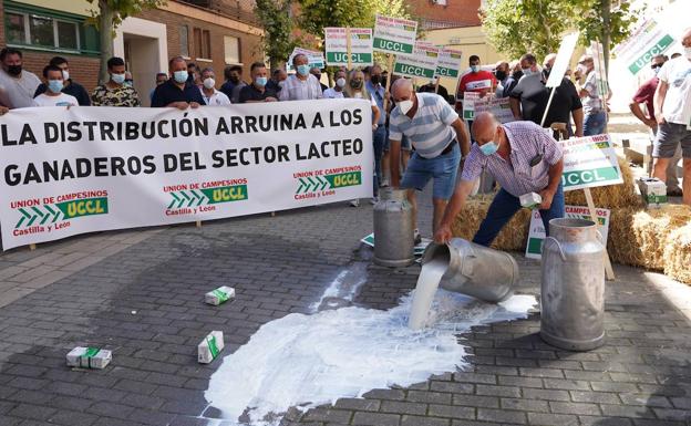 Medio centenar de ganaderos protestan en Valladolid por la crisis de precios de la leche y el aumento de costes