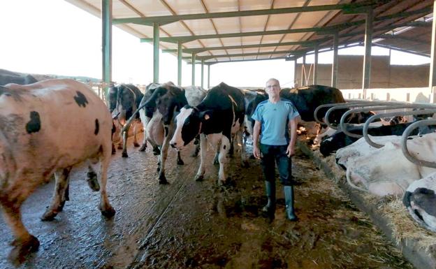 La luz y el combustible rematan al sector de la leche en León: «Van a abandonar más ganaderos»