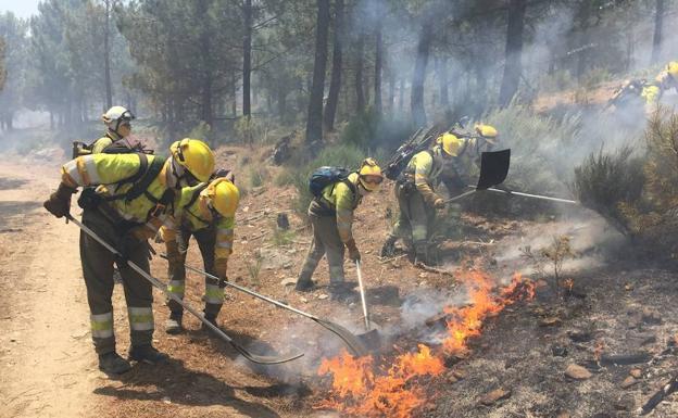 Castilla y León concentra el 10% de las intervenciones de apoyo del Ministerio en la lucha contra incendios en lo que va de 2021
