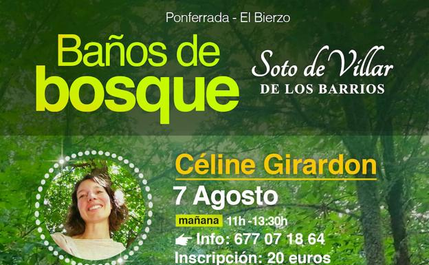 Bierzo Vivo programa una serie de 'baños de bosque' en el soto de castaños de Villar de los Barrios