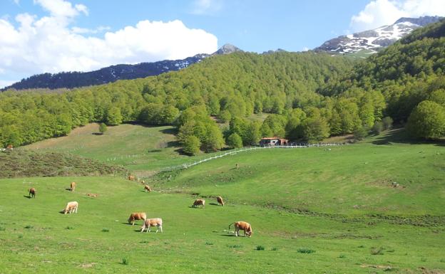 Oseja de Sajambre exige el compromiso «real y activo» de la Diputación en la reactivación turística de la zona