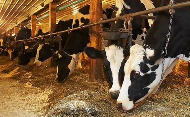 Ciudadanos registra una PNL que denuncia ataques del Gobierno «de forma sectaria al sector agroganadero»