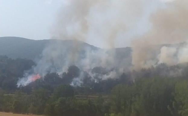 Las brigadas tratan de extinguir el fuego originado este jueves en Otero de las Dueñas