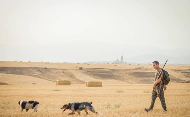 Los cazadores lamentan una jornada «bastante floja» de codorniz y critican el «grave error» de la prohibición para la tórtola