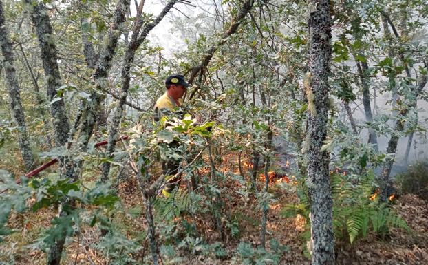 Continúa activo el incendio originado el domingo en Villar de Omaña