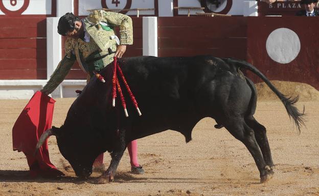 «Los toros se llaman como su madre, como su abuela... Y así 40 años atrás»