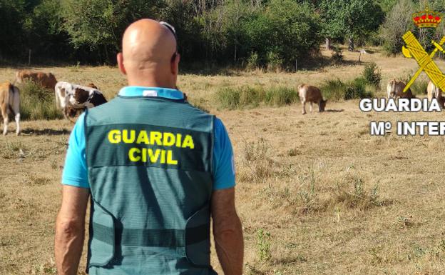 La Guardia Civil detiene a un hombre e investiga a otro por el robo de un pastor eléctrico, una bateria y una placa solar