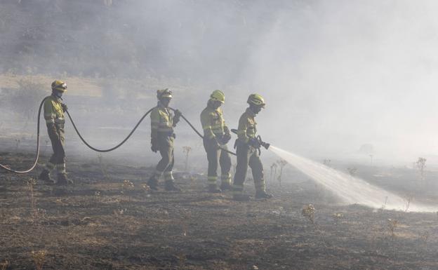 La Junta cifra en 21.993,4 las hectáreas afectadas por el incendio de Navalacruz y Cepeda de la Mora