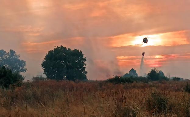 León, en aviso naranja por riesgo de incendios este domingo