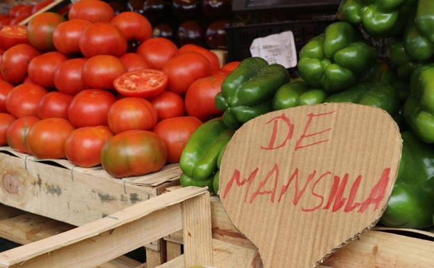 Mansilla recupera su tradicional Feria del Tomate, un producto con 500 toneladas de temporada