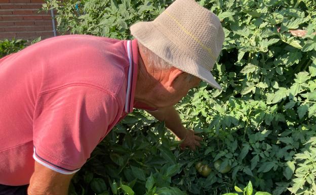 Los castellanos y leoneses destinan casi 12.000 hectáreas al cultivo de huertos familiares