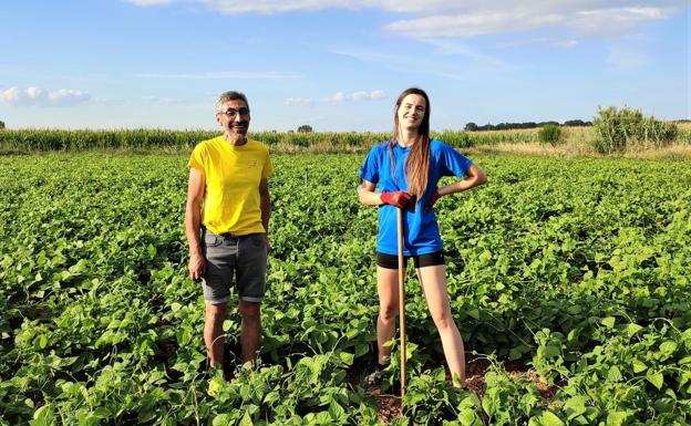 Un proyecto de las Becas Ralbar mejorará la producción de judías de calidad