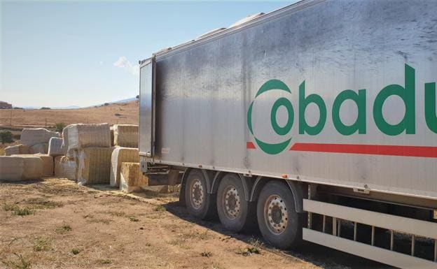 Los ganaderos abulenses reciben más de 100 toneladas solidarias de Cobadu