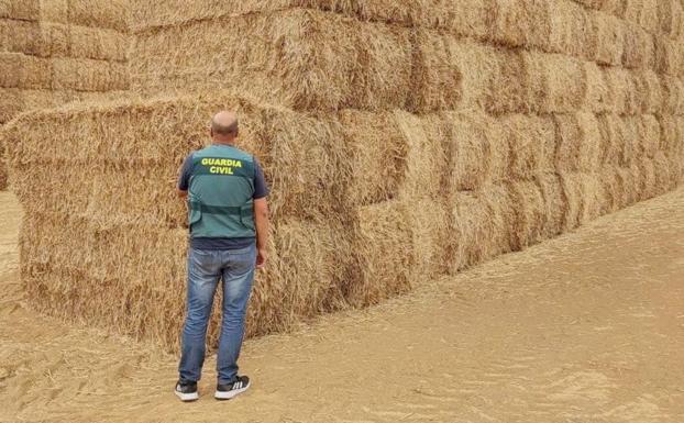 Detenido por comprar forraje y cereales a varios agricultores leoneses a los que nunca pagaba