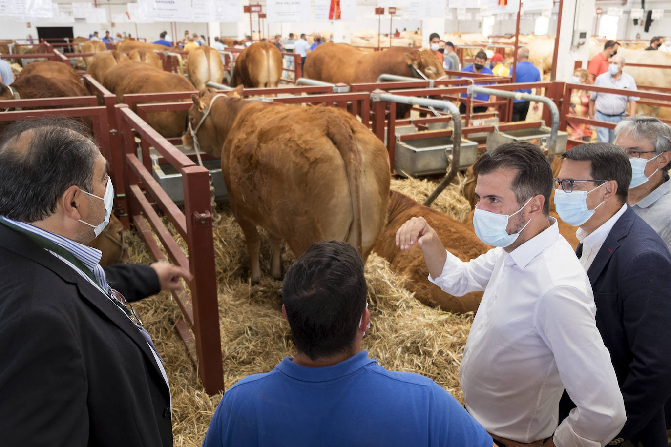 Tudanca recuerda a Mañueco la posición común de Gobierno y Junta por los agricultores profesionales