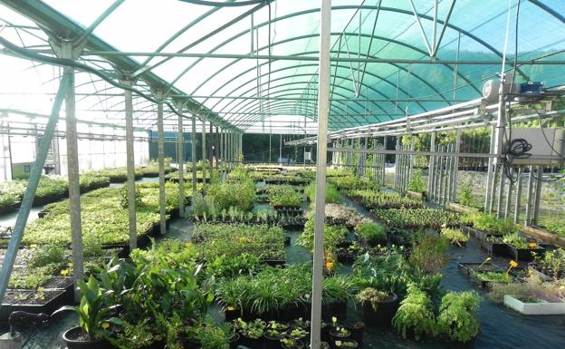 Ciuden Vivero abre el plazo para seleccionar a los participantes en dos nuevos programas formativos