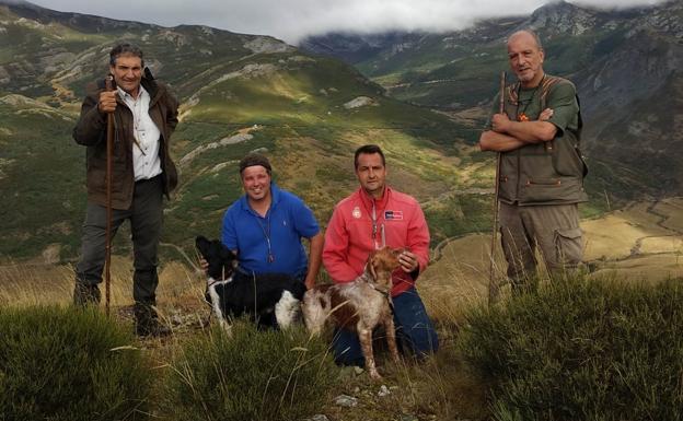 Más de 60 perros participan en el concurso de Montaña de Perros de Muestra en Vegarada