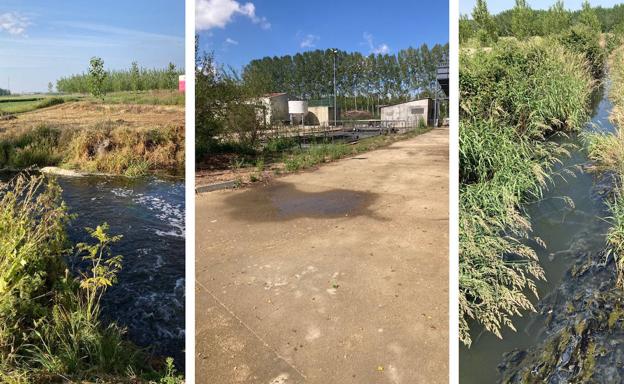 Cs denuncia el «desastre ecológico» del cauce de La Zague por vertidos contaminantes en Santibáñez de la Isla