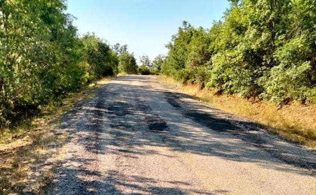 El PP exige el «arreglo inmediato» de la carretera que une Almanza con Corcos