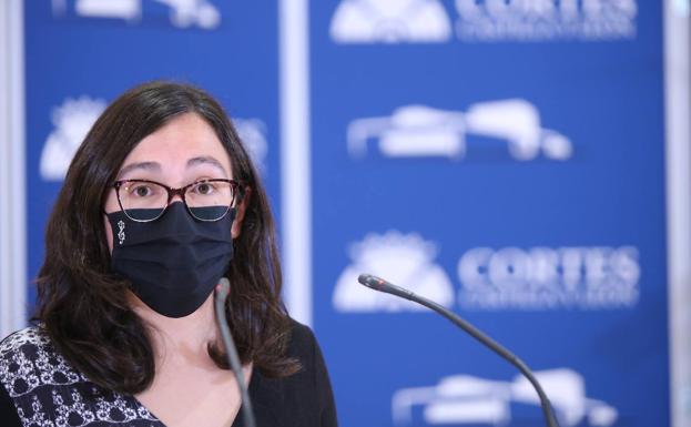 Podemos Castilla y León afirma que ha logrado «que se apruebe una PNL para prevenir la violencia de género»