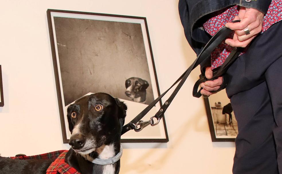 'EXPOSITIVOS21' o cómo apostar por cuatro nuevos talentos de la fotografía